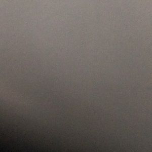 Meet your Posher, Tavi